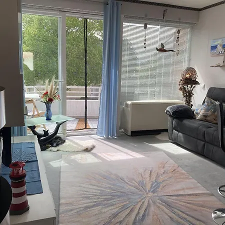 Moewennest Dahme (Schleswig-Holstein)